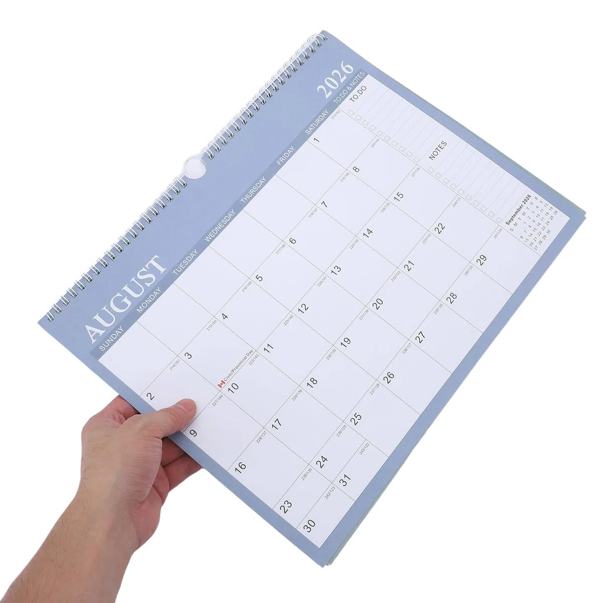 Alipis Querformat Wandkalender Monatsplaner Jahreskalender mit Internationalen Feiertagen für Homeoffice Planer mit Notizfeldern zum Aufhängen